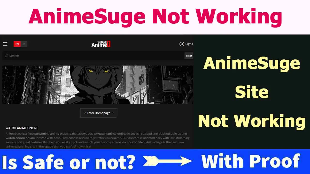 AnimeSuge got terminated, and now has a new website. : r